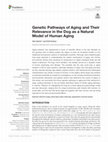 Research paper thumbnail of Genetic Pathways of Aging and Their Relevance in the Dog as a Natural Model of Human Aging