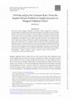 Research paper thumbnail of 'Of Pride and Joy No Common Rate': From the Surplus Women Problem to Surplus Jouissance in Margaret Oliphant’s Hester