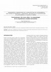 Research paper thumbnail of Conclusiones: Um novo olhar. La arqueología de la arquitectura amplía horizontes