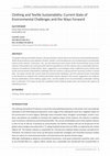 Research paper thumbnail of Clothing and Textile Sustainability: Current State of Environmental Challenges and the Ways Forward