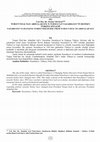 Research paper thumbnail of TURGUT ÖZAL’DAN ABDULLAH GÜL’E NURSULTAN NAZARBAYEV’İN DEĞİŞEN TÜRKİYE SÖYLEMİ