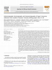 Research paper thumbnail of Lithostratigraphy, biostratigraphy and chemostratigraphy of Upper Cretaceous sediments from southern Tanzania: Tanzania drilling project sites 21-26