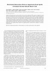 Research paper thumbnail of Biochemical Interactions Between Angiotensin II and Apelin in Isolated Vascular Smooth Muscle Cells