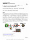 Research paper thumbnail of Fungal endophytes in Peperomia obtusifolia and their potential as inhibitors of chickpea fungal pathogens Content courtesy of Springer Nature, terms of use apply. Rights reserved