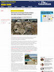 Research paper thumbnail of Article on the mosque of Tiberias in The Guardian