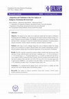 Research paper thumbnail of Adaptation and Validation of the New Indices of Religious Orientation Revised Scale