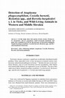 Research paper thumbnail of Detection of Anaplasma phagocytophilum, Coxiella burnetii, Rickettsia spp., and Borrelia burgdorferi s. l. in Ticks, and Wild-Living Animals in Western and Middle Slovakia