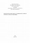 Research paper thumbnail of Politicization of ethnic groups: An anthropological approach of political conflicts in Mozambique