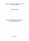 Research paper thumbnail of Responsabilidade Tributária Dos Sócios E Administradores De Empresa