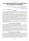 Research paper thumbnail of LA SALMONELOSIS PORCINA Y SU IMPORTANCIA EN LA CADENA DE PRODUCCIÓN Volver a: Enf. infecciosas de los porcinos