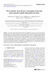 Research paper thumbnail of Thoracobombus from Mexico: a description of the male species-specific cephalic labial gland secretions