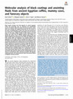 Research paper thumbnail of Molecular analysis of black coatings and anointing fluids from ancient Egyptian coffins, mummy cases, and funerary objects