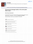 Research paper thumbnail of Chromosome damage studies in the onion plant Allium cepa L