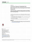 Research paper thumbnail of Correction: Dynamic Endothelial Cell Rearrangements Drive Developmental Vessel Regression