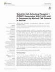 Research paper thumbnail of Dendritic Cell Activating Receptor 1 (DCAR1) Associates With FcεRIγ and Is Expressed by Myeloid Cell Subsets in the Rat