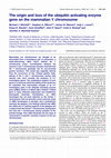 Research paper thumbnail of The origin and loss of the ubiquitin activating enzyme gene on the mammalian Y chromosome