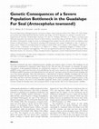 Research paper thumbnail of Genetic Consequences of a Severe Population Bottleneck in the Guadalupe Fur Seal (Arctocephalus townsendi)