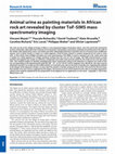 Research paper thumbnail of Animal urine as painting materials in African rock art revealed by cluster ToF‐SIMS mass spectrometry imaging