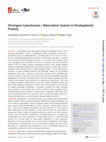 Research paper thumbnail of Divergent Cytochrome c Maturation System in Kinetoplastid Protists