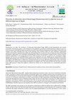 Research paper thumbnail of Diversity of arbuscular mycorrhizal fungi (Glomeromycota) in adjacent areas of different land use in Nepal