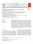 Research paper thumbnail of Dual production of hydrogen and biochar from industrial effluent containing phenolic compounds.pdf