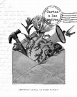 Research paper thumbnail of LIBRO CARTAS