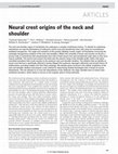 Research paper thumbnail of Neural crest origins of the neck and