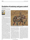 Research paper thumbnail of Evolution of anatomy and gene control