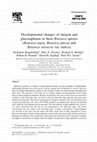 Research paper thumbnail of Developmental changes of sinigrin and glucoraphanin in three Brassica species ( Brassica nigra, Brassica juncea and Brassica oleracea var. italica