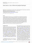 Research paper thumbnail of Sand calcites as a key to Pleistocene periglacial landscapes