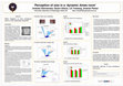 Research paper thumbnail of Perception of size in a 'dynamic Ames room'