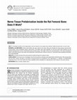 Research paper thumbnail of Nerve tÝssue prefabrÝcatÝon ÝnsÝde the rat femoral bone: does Ýt work?