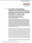 Research paper thumbnail of Inoculation of Azospirillum brasilense associated with silicon as a liming source to improve nitrogen fertilization in wheat crops