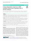 Research paper thumbnail of A dose-dependent response to MEK inhibition determines hypoblast fate in bovine embryos