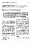 Research paper thumbnail of Molecular Analysis of  -Lactamases from Four Species of Streptomyces: Comparison of Amino Acid Sequences with those of other  -clactamases