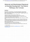 Research paper thumbnail of Molecular and Morphological Signatures of Chordate Development: Two Distinct Pathways, One Tunicate