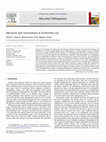 Research paper thumbnail of Microcins and urovirulence in Escherichia coli