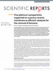 Research paper thumbnail of Fine platinum nanoparticles supported on a porous ceramic membrane as efficient catalysts for the removal of benzene