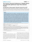 Research paper thumbnail of The Common Structural Architecture of Shigella flexneri and Salmonella typhimurium Type Three Secretion Needles