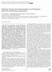 Research paper thumbnail of Molecular Cloning and Characterization of a Thioredoxin Gene from Echinococcus granulosus