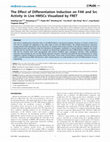 Research paper thumbnail of The Effect of Differentiation Induction on FAK and Src Activity in Live HMSCs Visualized by FRET