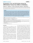 Research paper thumbnail of Visualization of Src and FAK Activity during the Differentiation Process from HMSCs to Osteoblasts