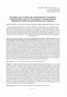 Research paper thumbnail of The most complete record of a Hoplophorini (Xenarthra: Glyptodontidae) for the Chapadmalalan-Marplatan Stages (Late Pliocene-Early Pleistocene)