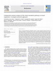 Research paper thumbnail of Comparative protein analysis of the chitin metabolic pathway in extant organisms: A complex network approach