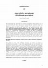 Research paper thumbnail of Appreciative morphology (Morfología apreciativa) - versión en español