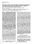 Research paper thumbnail of Rat kidney papilla contains abundant synaptobrevin protein that participates in the fusion of antidiuretic hormone-regulated water channel-containing endosomes in vitro