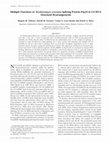 Research paper thumbnail of Multiple Functions of Saccharomyces cerevisiae Splicing Protein Prp24 in U6 RNA Structural Rearrangements