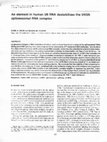 Research paper thumbnail of An element in human U6 RNA destabilizes the U4/U6 spliceosomal RNA complex