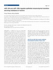 Research paper thumbnail of miR-100 and miR-125b regulate epithelial-mesenchymal transition and drug resistance in tumors