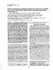 Research paper thumbnail of Protein engineering of antibody binding sites: recovery of specific activity in an anti-digoxin single-chain Fv analogue produced in Escherichia coli